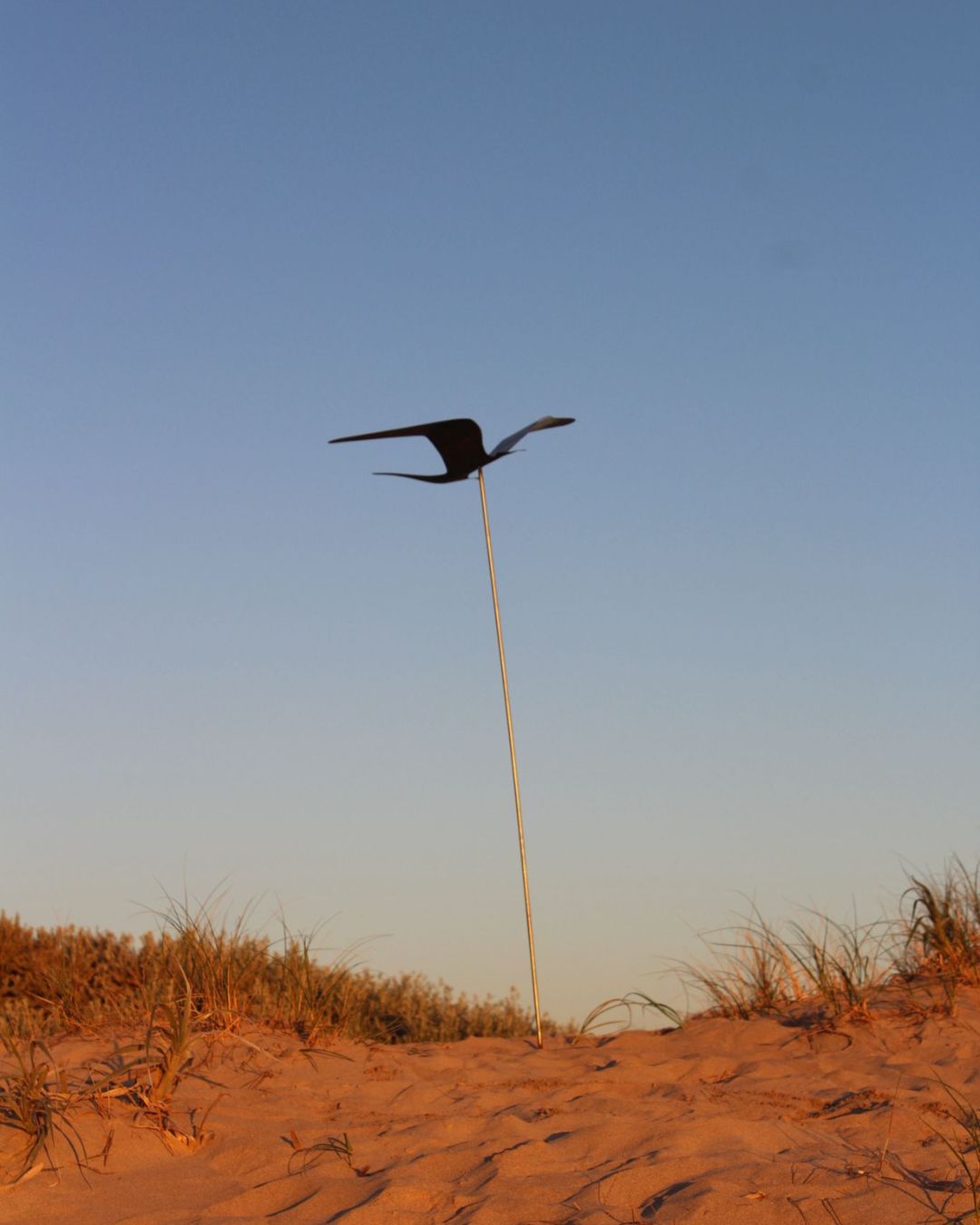 Stainless Steel Bird With Rod