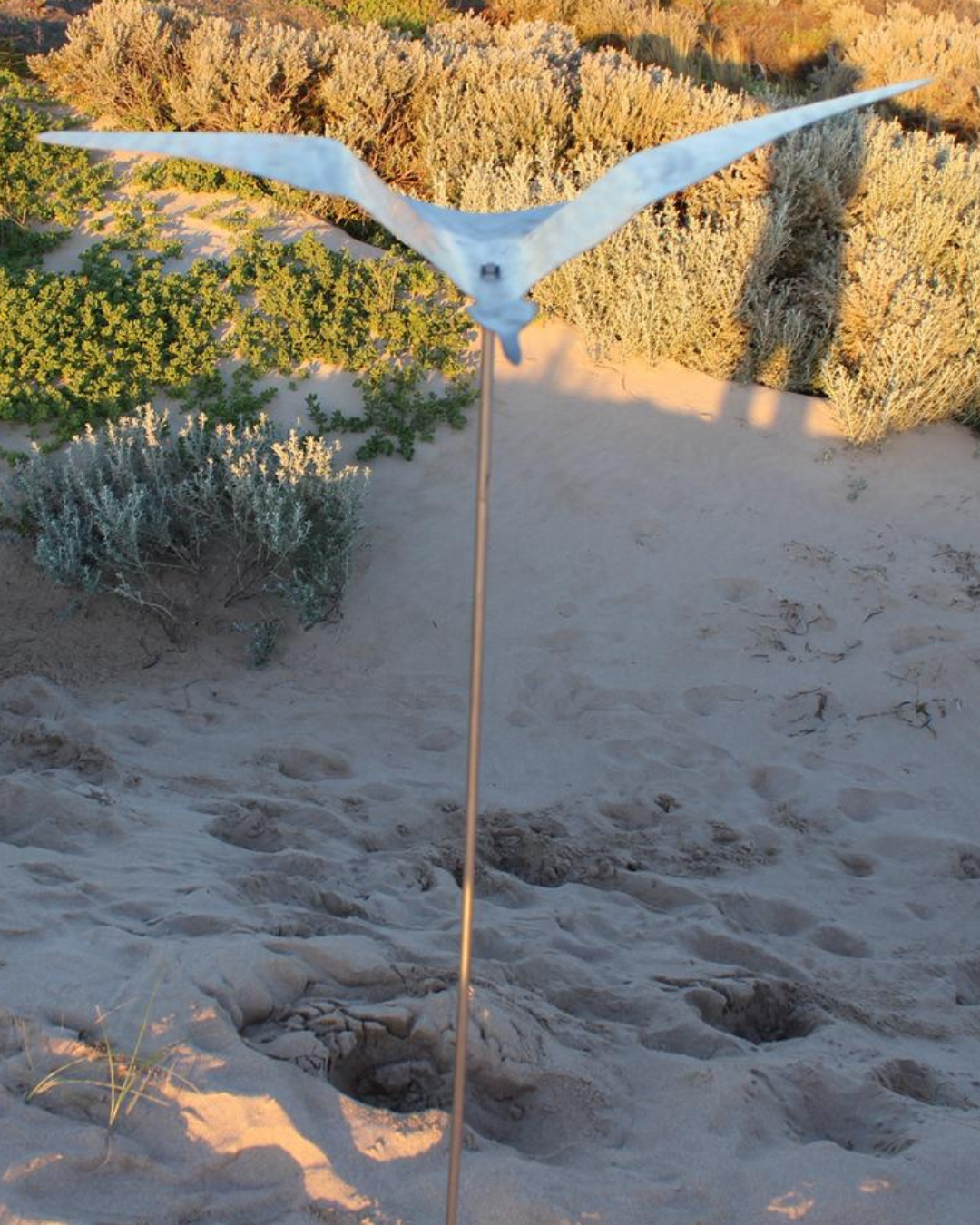 Stainless Steel Bird With Rod