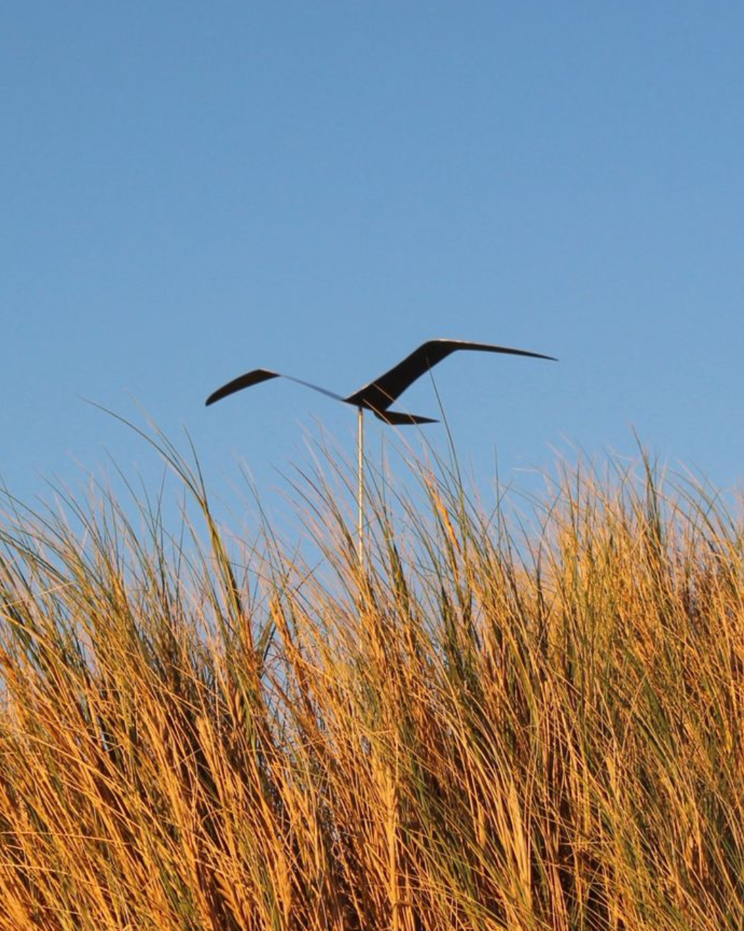 Stainless Steel Bird With Rod