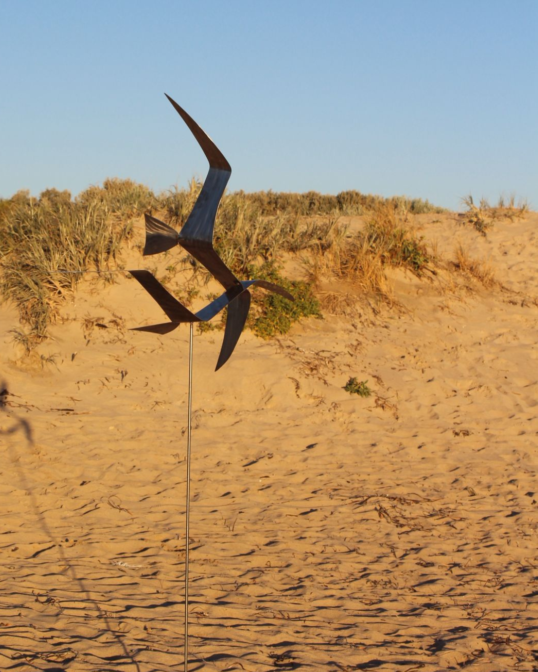 Bird Couple