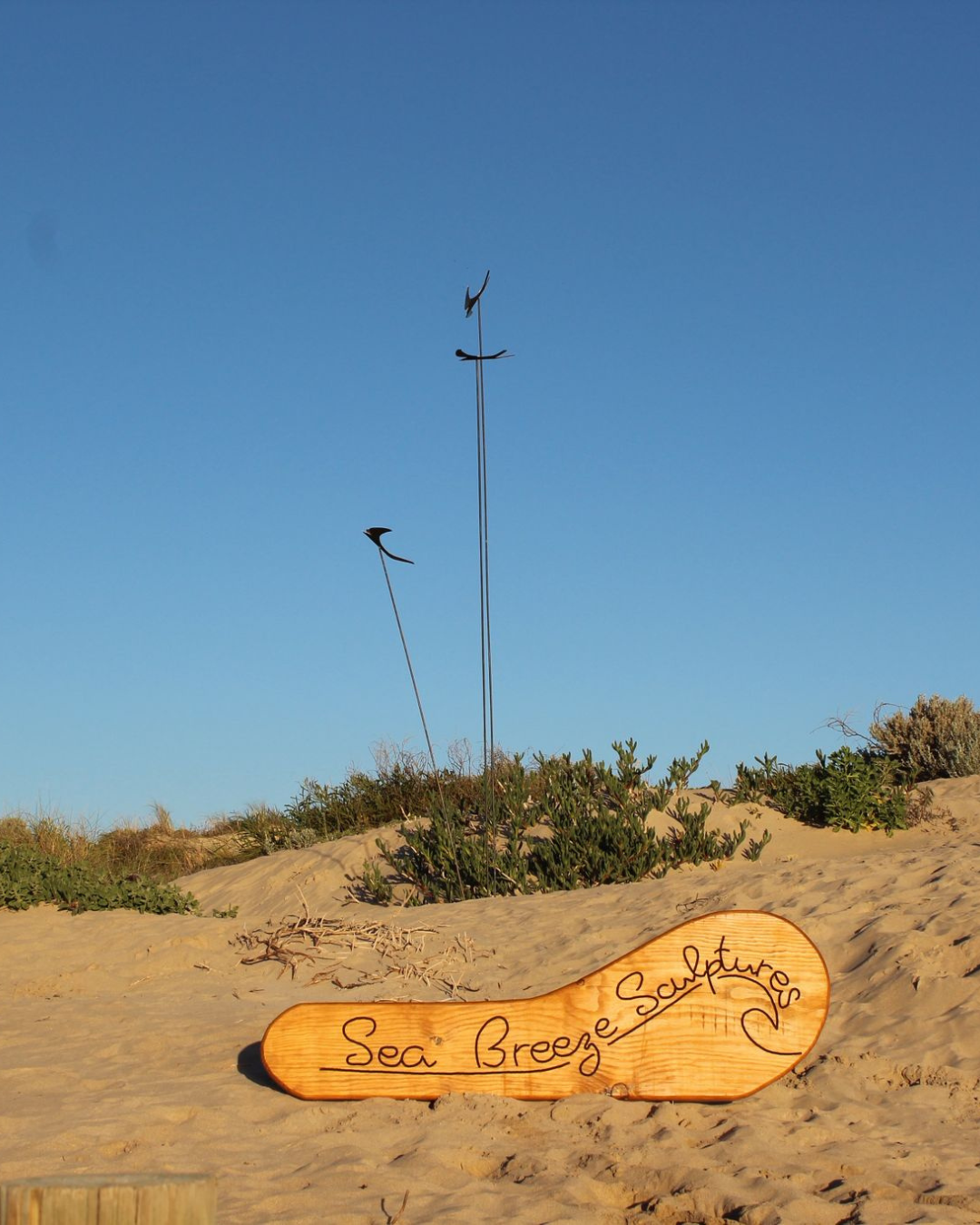 Corten Swifts