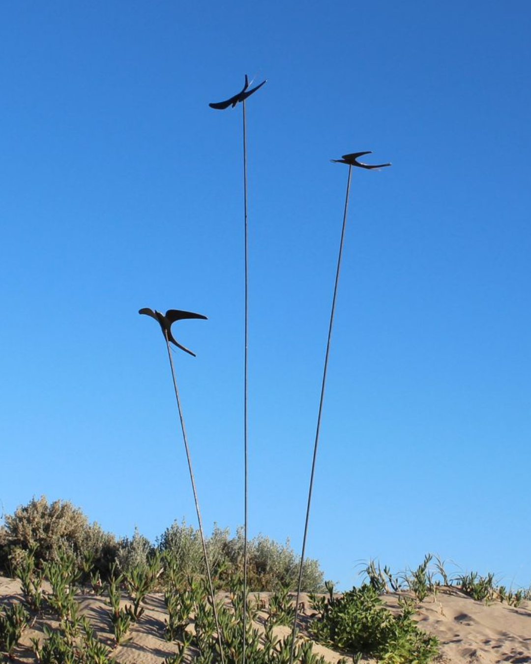 Corten Swifts
