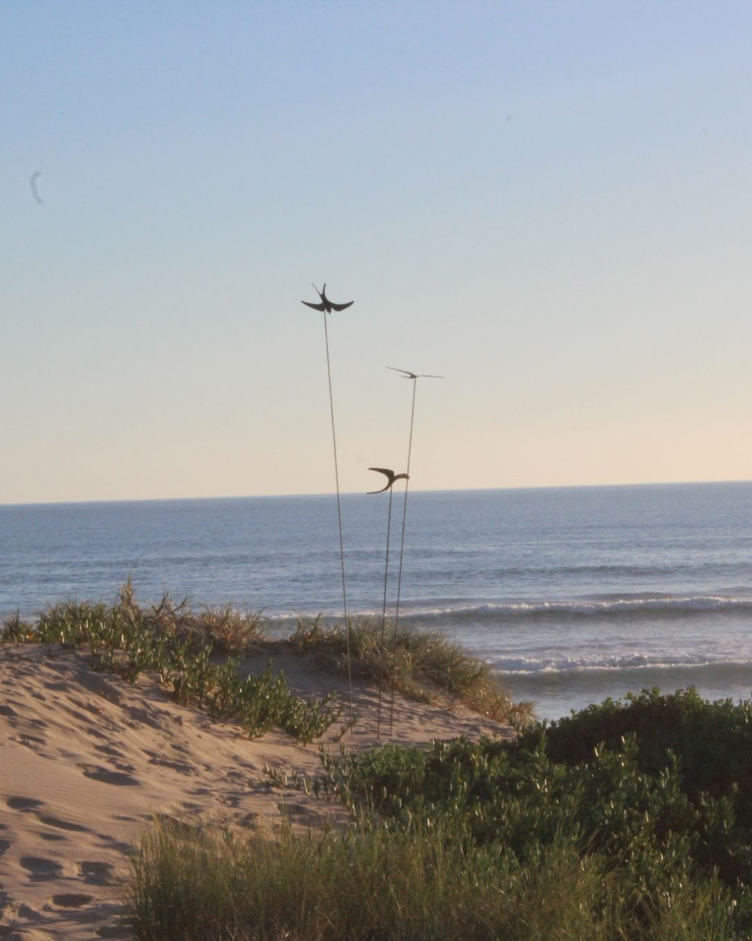 Corten Swifts