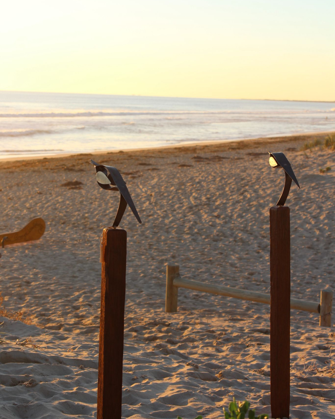Willie Wagtail Perched on Jarrah Post