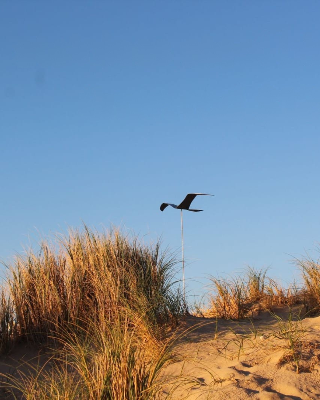 Stainless Steel Bird With Rod