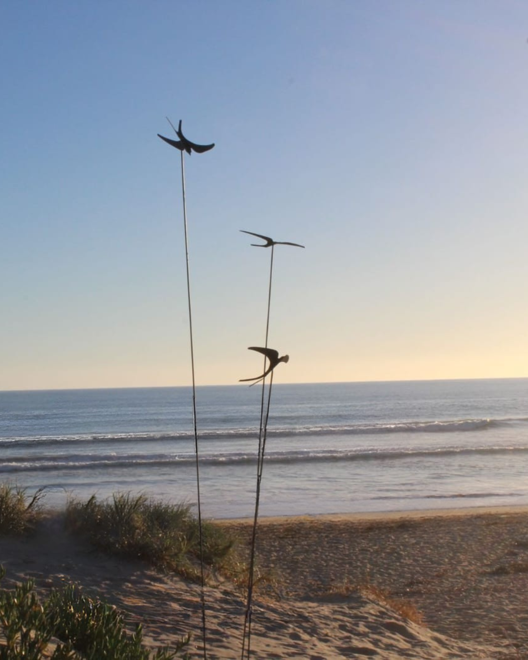 Corten Swifts