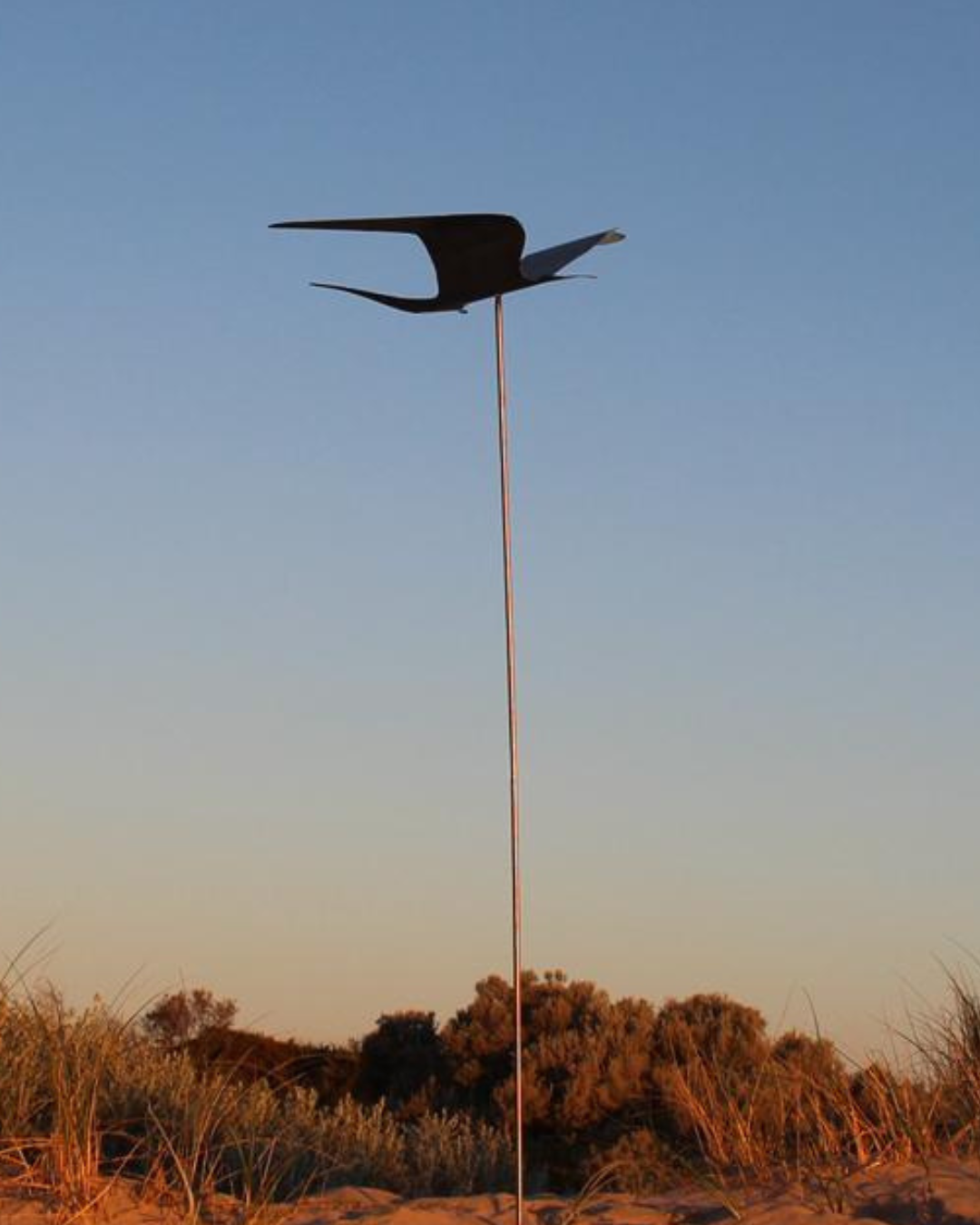 Stainless Steel Bird With Rod