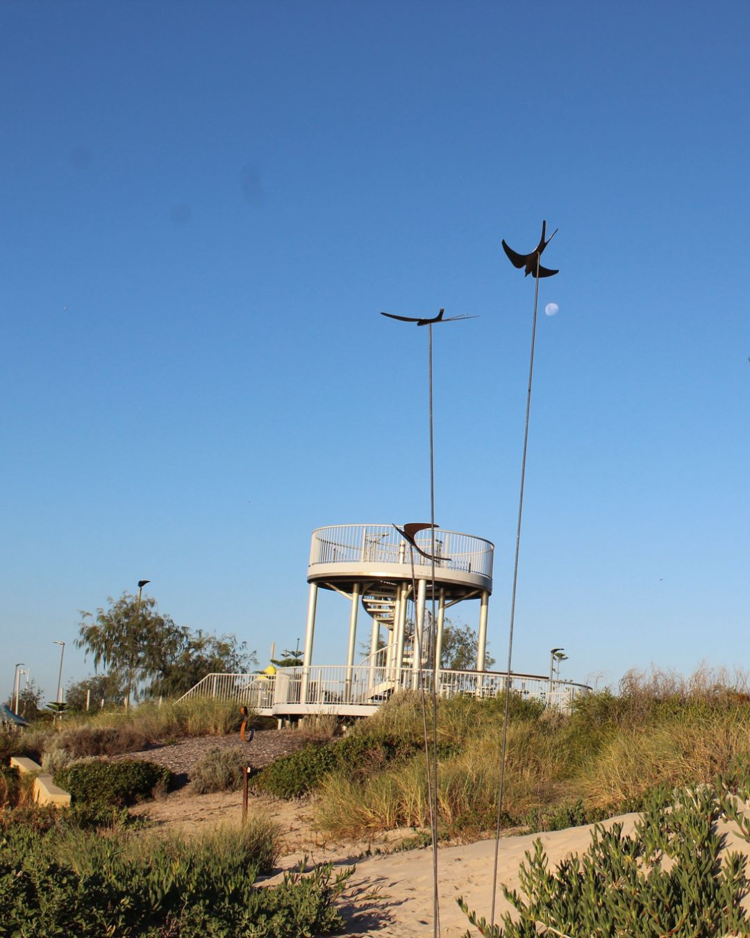 Corten Swifts