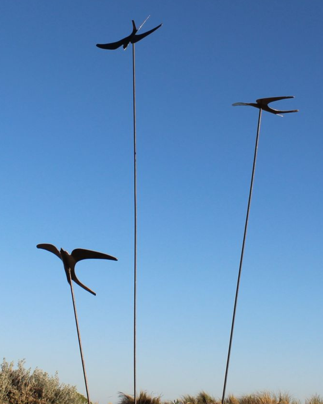Corten Swifts